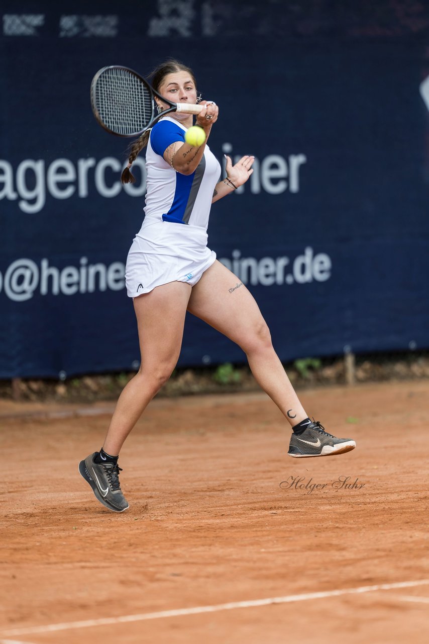 Bild 519 - BL DTV Hannover - BW Dresden Blasewitz : Ergebnis: 2:7